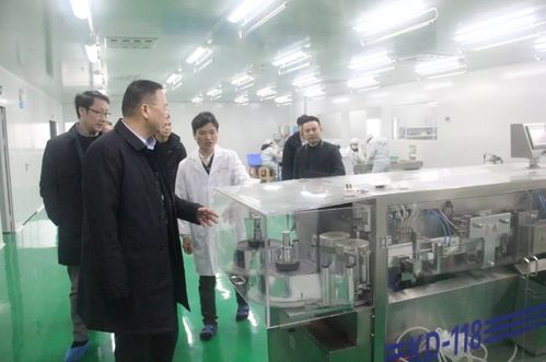 浏阳经开区党工委副书记谈文昌深入调研道和生物制药厂，并强调以产教融合赋能长沙教育咨询发展